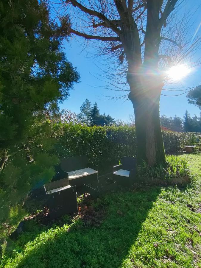 Il Tiglio B&B Dozza Dış mekan fotoğraf