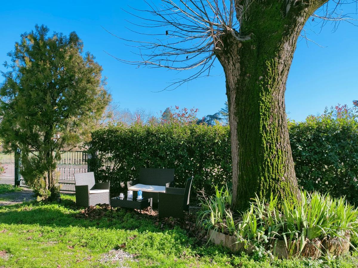 Il Tiglio B&B Dozza Dış mekan fotoğraf
