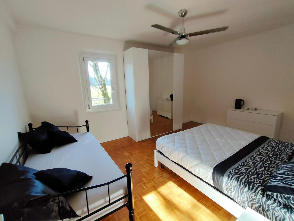 Il Tiglio B&B Dozza Dış mekan fotoğraf