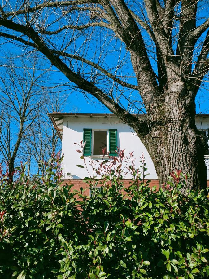 Il Tiglio B&B Dozza Dış mekan fotoğraf